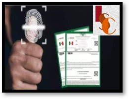 Tramites que no podrán realizar los campechanos si no tramitan la CURP Biométrica. 